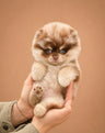 Teddy