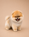 Pablo