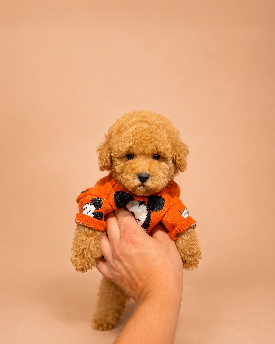 Alf
