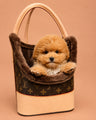 Bulut — 3 aylık erkek Maltipoo yavru köpek